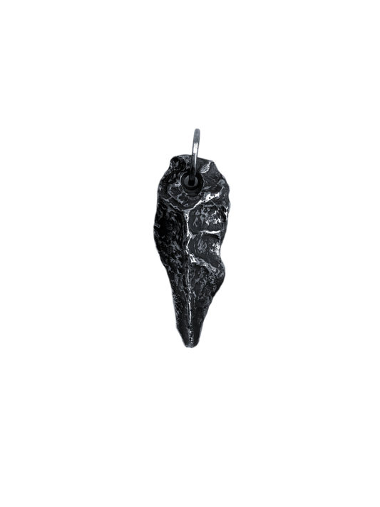 MISHGAV/P - 001